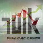 TÜİK Açıkladı: Temmuzun Zam ve İndirim Şampiyonları