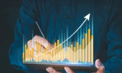 Haftalık Halka Arz Performansı