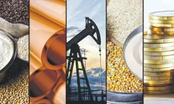 '2020'lerin geri kalanında en büyük kazanan emtia olacak'