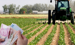 Çiftçilere 350,9 Milyon Liralık Destek Ödemesi Bugün