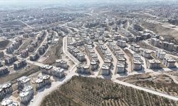 'Deprem bölgesi yerel teşviklerle yatırım üssüne dönüşecek'