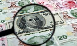 Dolar/TL, güne yükselişle başladı