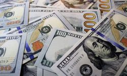 Dolar/TL, haftanın son işlem gününe yükselişle başladı