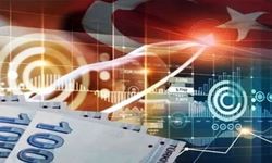 'Güvenli Liman Türkiye' çalışmasına ilişkin açıklama