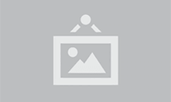 Petrol fiyatları 100 doların altına geriledi