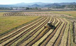 Tarım ürünleri üretici fiyatları yıllık yüzde 36,09 arttı