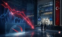 Finansal Hizmetler Güven Endeksi mayısta geriledi