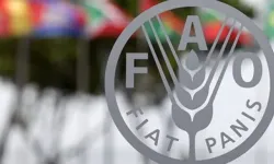 Global gıda fiyatları Nisan ayında yükselişini sürdürdü