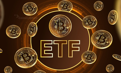 Bitcoin ETF'lerinde Rekor Çıkış