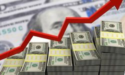 Şirketlerin net döviz açığı nisanda 205,6 milyar dolara yükseldi