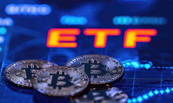 Spot Bitcoin ETF'lerine 203 Milyon Dolarlık Giriş