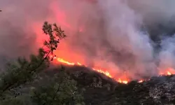 Antalya’nın Kaş ilçesinde çıkan orman yangını kontrol altına alınıyor