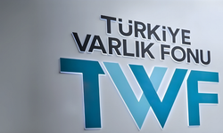 Türkiye Varlık Fonu Küresel Performansını Güçlendirdi
