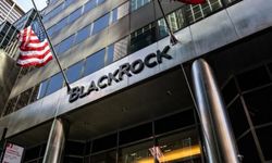 BlackRock'tan Bitcoin yorumu: 'Çift karakterli'