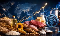 FAO: Küresel gıda fiyatları temmuzda yükseldi