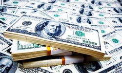 Resmi rezerv varlıkları, 164,4 milyar ABD dolarına ulaştı