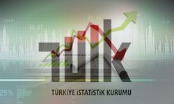 TÜİK Açıkladı: Temmuzun Zam ve İndirim Şampiyonları