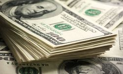 Türkiye'nin Kısa Vadeli Dış Borcu 170,7 Milyar Dolar Oldu