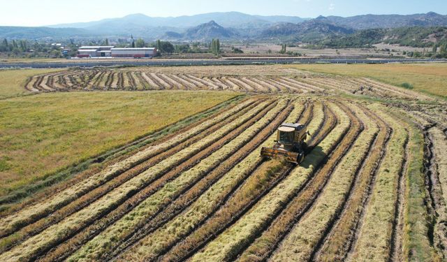 Tarım Ürünleri Üretici Fiyatları Yıllık %40,1 Arttı