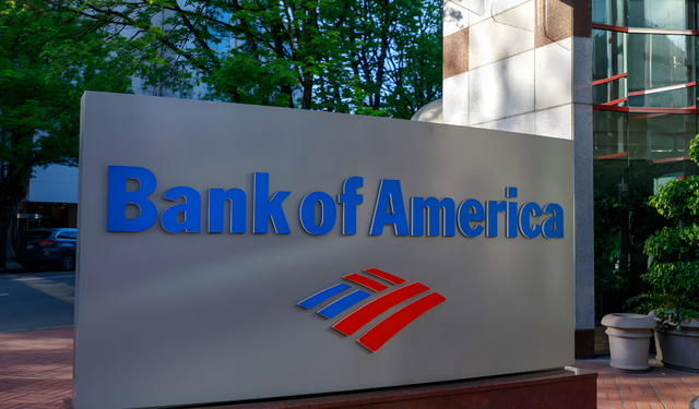 BofA Türk Bankacılık Sektöründe Frene Bastı, Tavsiyelerini Değiştirdi