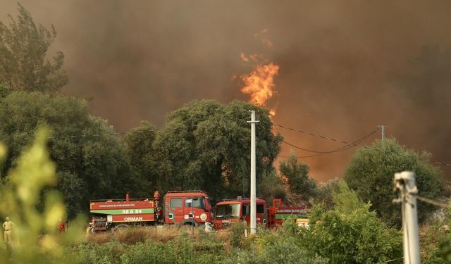 Orman yangınlarıyla mücadele devam ediyor